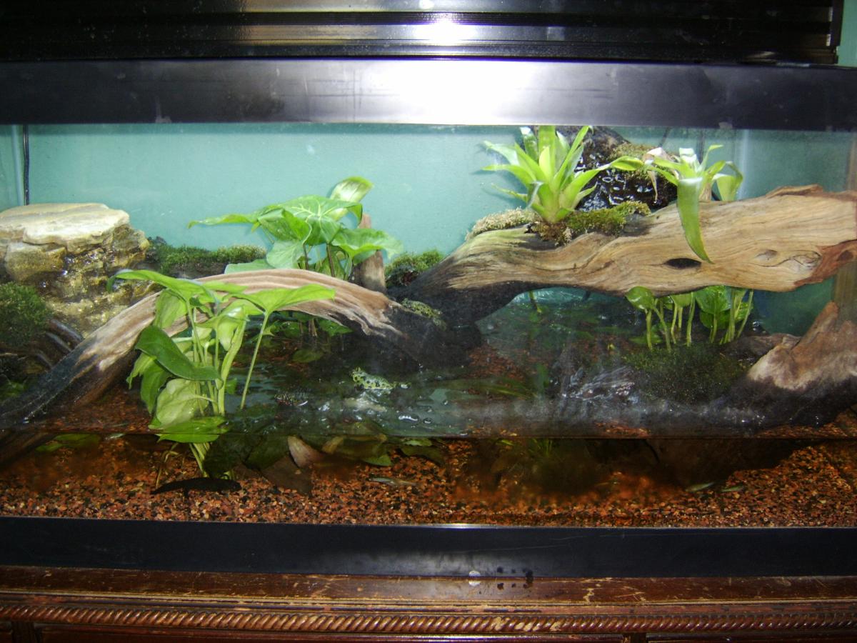 firebelly enclosure 4