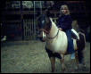 holly on stormy