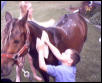 misty getting a bath