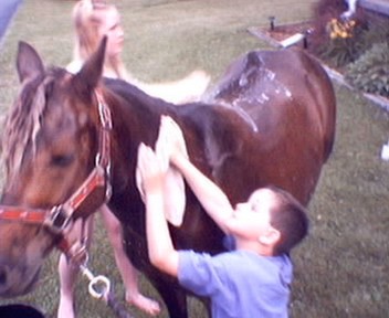 misty getting a bath
