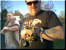 THE SNAKES
