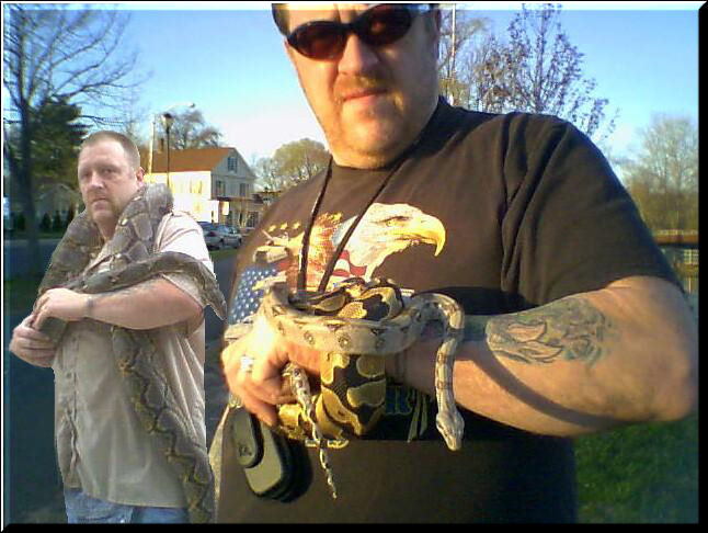 THE SNAKES