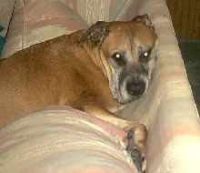 Rico looking special