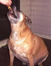 Rico likes junk food too much.