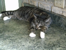 Lazy rescue!
