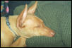 Gettin' Some Shuteye