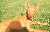 Indiana 3 months