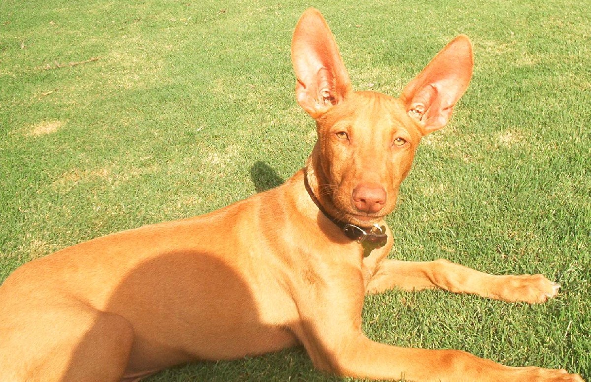 Indiana 3 months