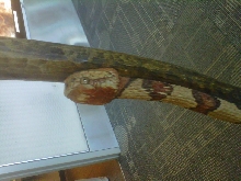 walking stick 2