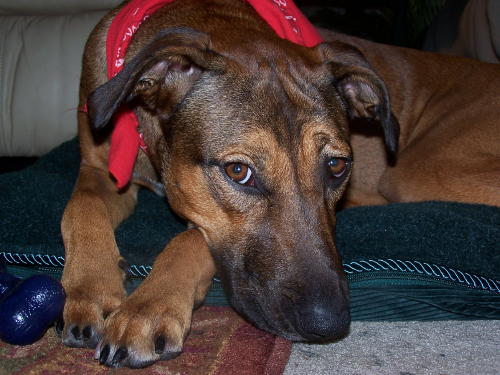 What is my mix?