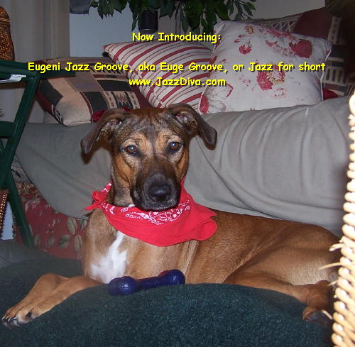 Jazz 3