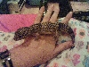Anatole again