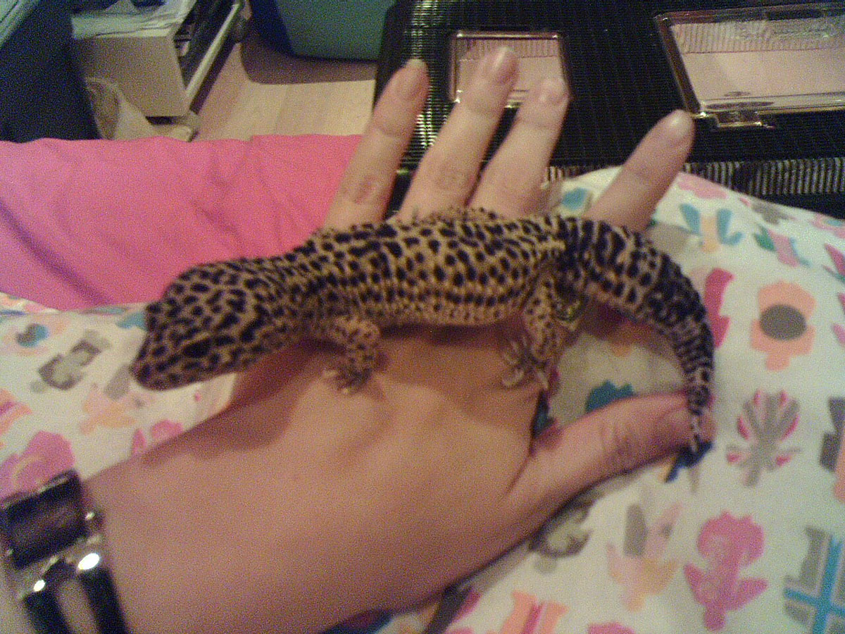 Anatole again