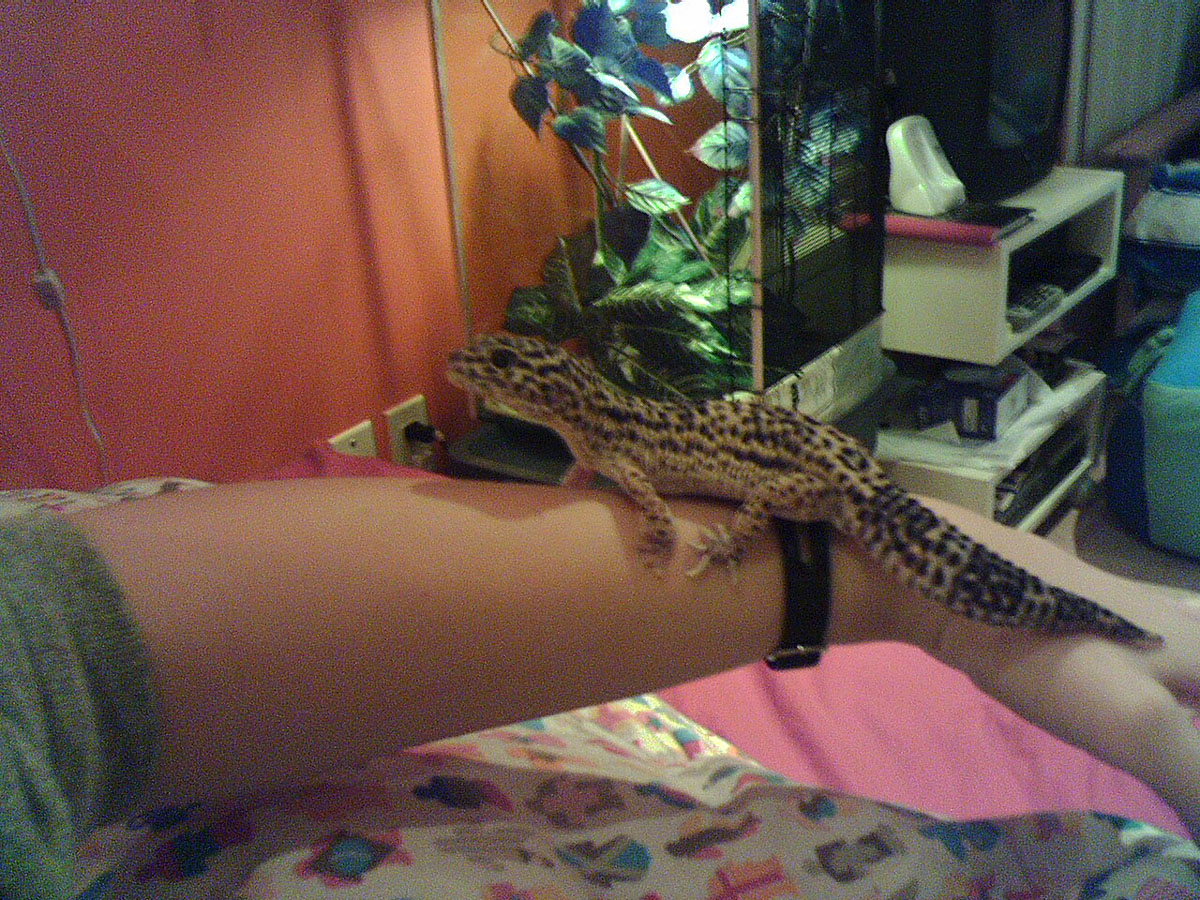 Anatole on my arm