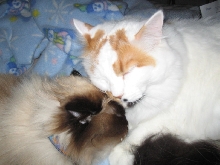 Sumtimes we luff each offur