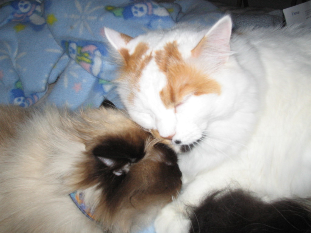 Sumtimes we luff each offur