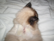 Tis my  noo zipper