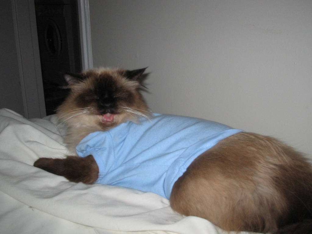 My noo tshirt