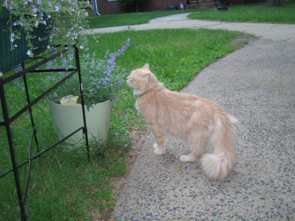 Smelling the flowers