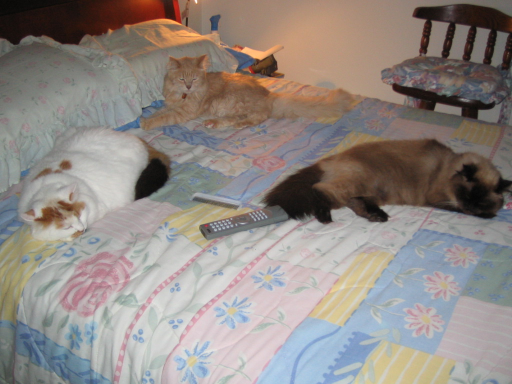 Hogging the bed