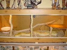this is the python cage (terrarium) made by deventerdennis self