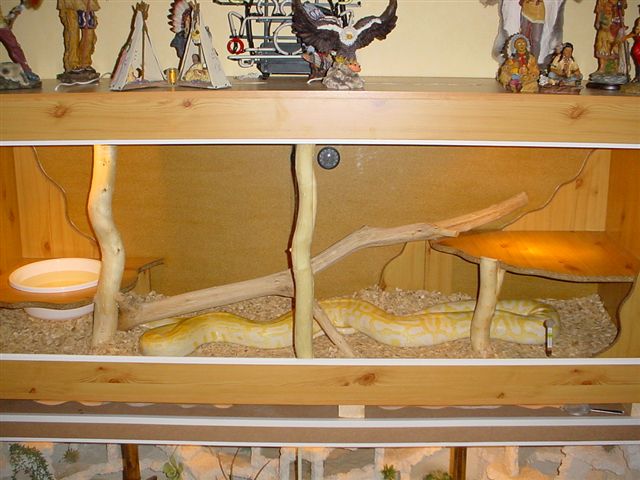 this is the python cage (terrarium) made by deventerdennis self