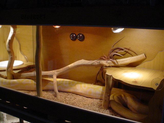 updated pic from 25 augustus 2004