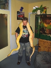 this is me and my great albino python