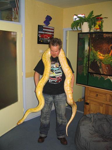this is me and my great albino python