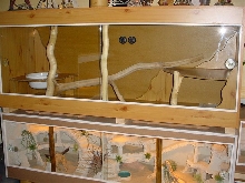 cage (terrarium) python