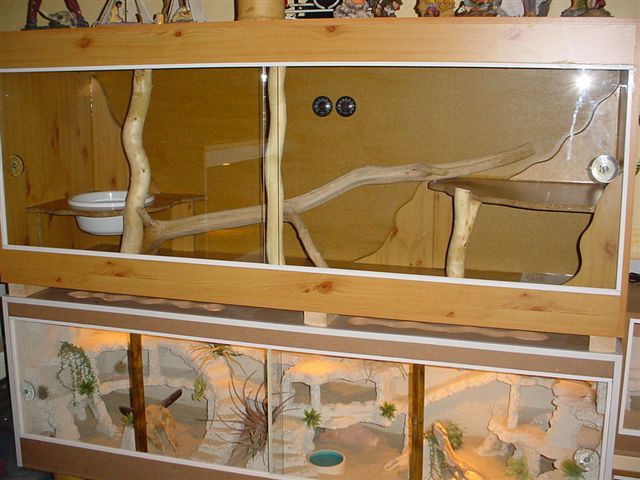 cage (terrarium) python