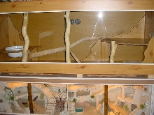 cage (terrarium) finish python
