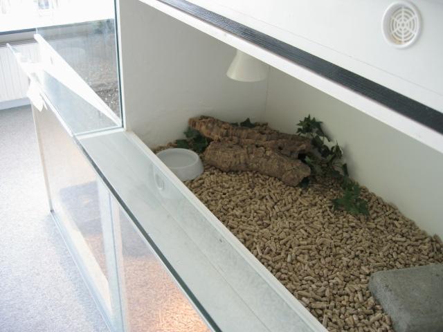 cage 2