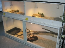 snake cages
