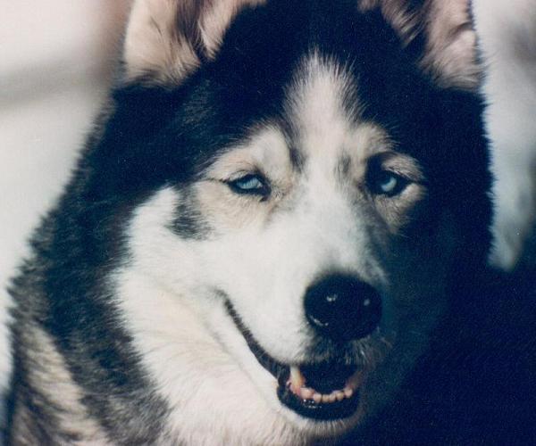 Those eyes