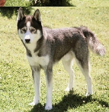 After a bath
