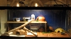 40 gallon set-up