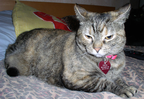 Chessie, alittle annoyed
