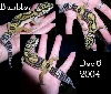 Bubbles 12.06.04
