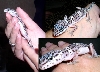 my leopard gecko