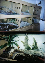 My home-made enclosures