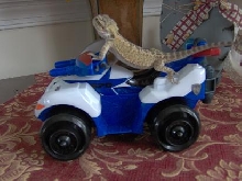 Ride Bourbon