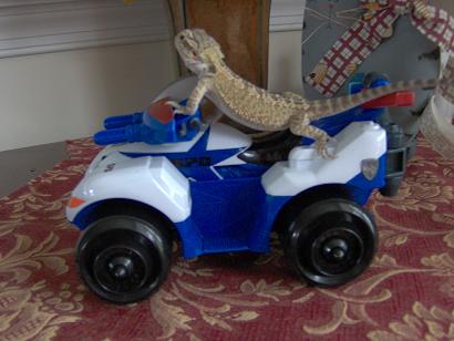 Ride Bourbon