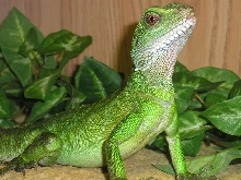My girl (2)