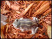 What is this frog called?