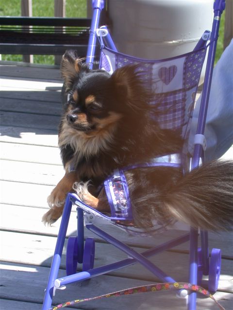 MY BABY "MACINTOSH"