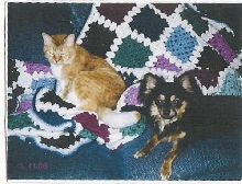 cinnamon and macintosh