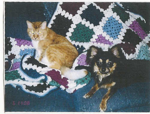 cinnamon and macintosh