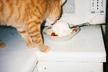 Caleb's dessert