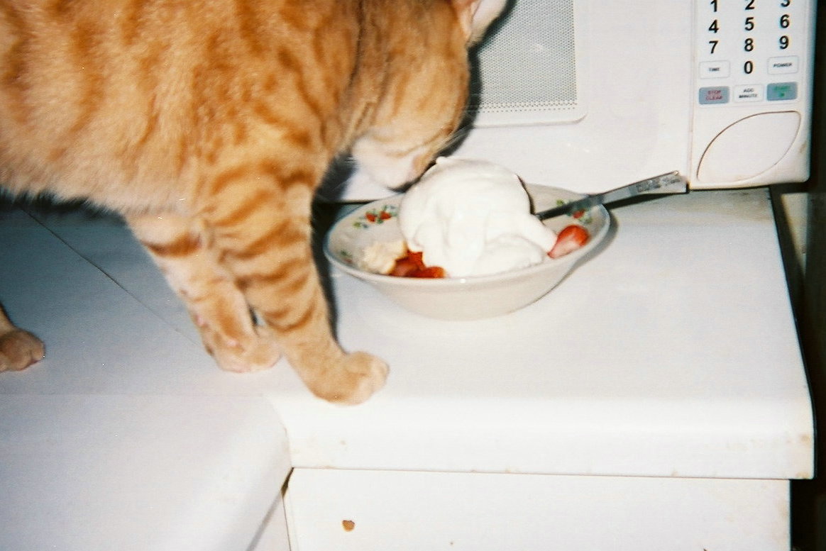 Caleb's dessert